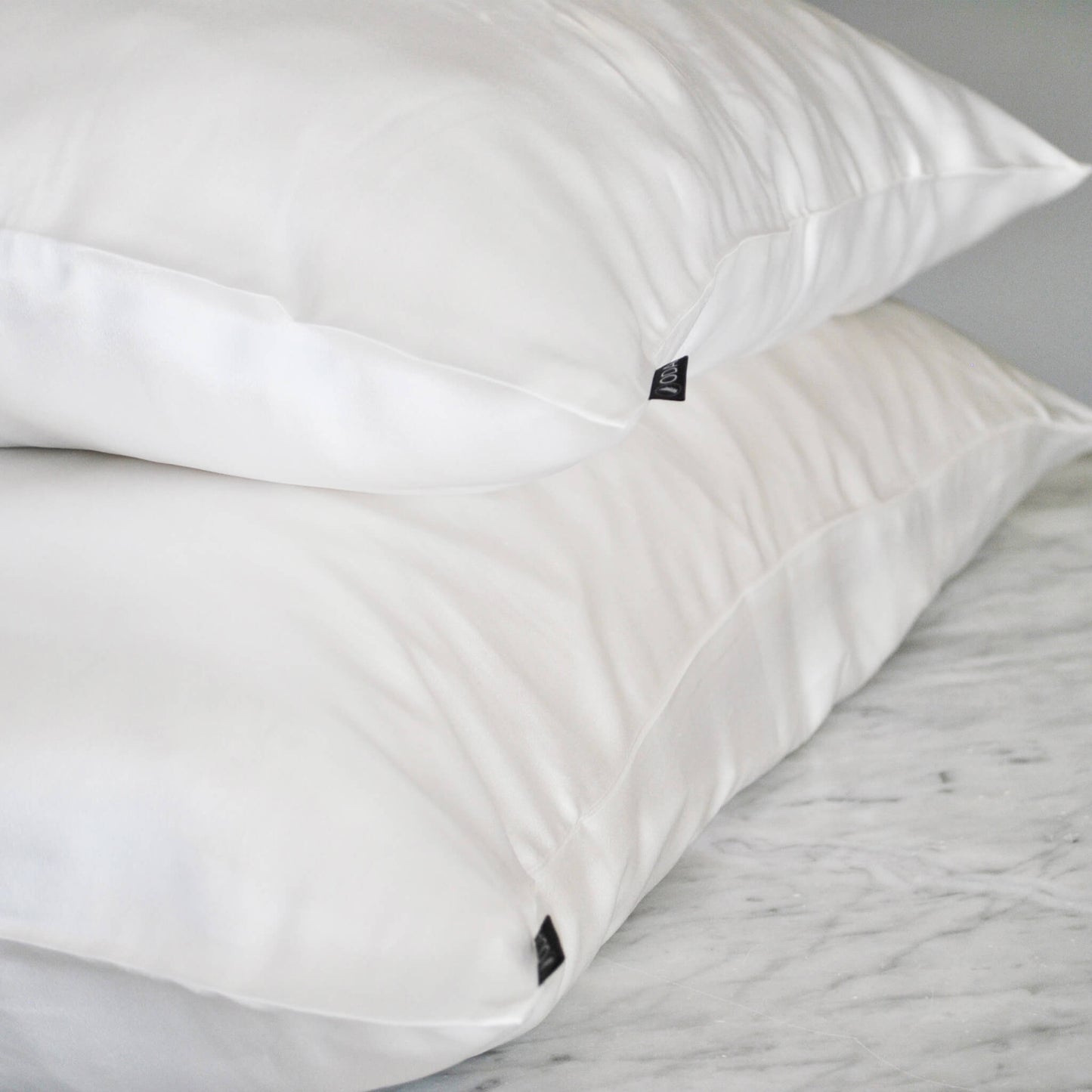 2 Fundas de Seda L (50x90cm)